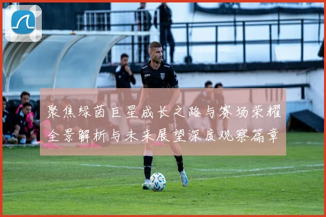 聚焦绿茵巨星成长之路与赛场荣耀全景解析与未来展望深度观察篇章
