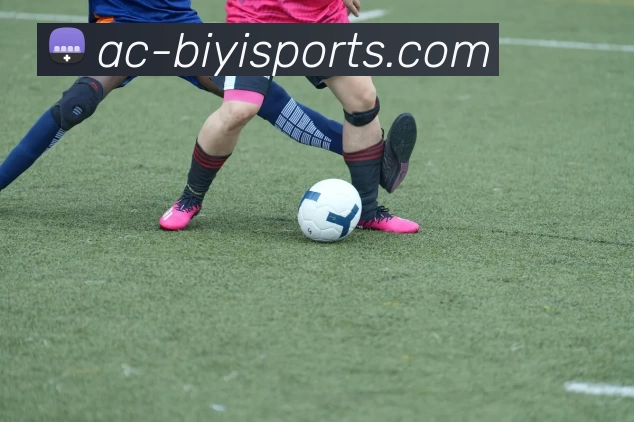 必一体育平台生态图